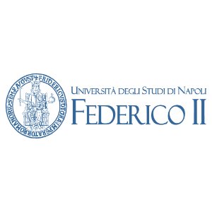 Università degli Studi di Napoli Federico II